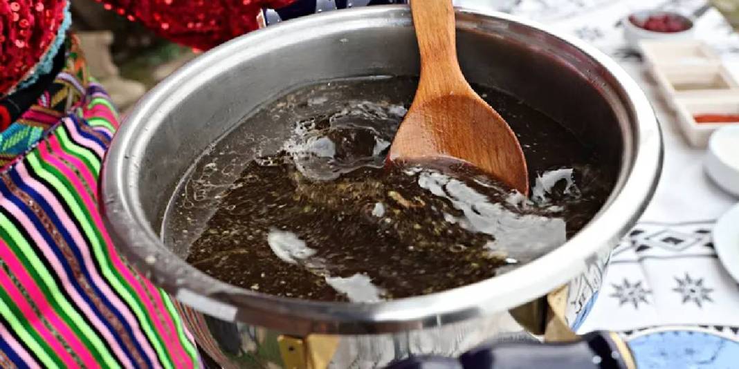 Doğadan toplayıp kavanozda saklıyorlar: Tescilli ‘Ağa çorbasına’ dönüşüyor 3